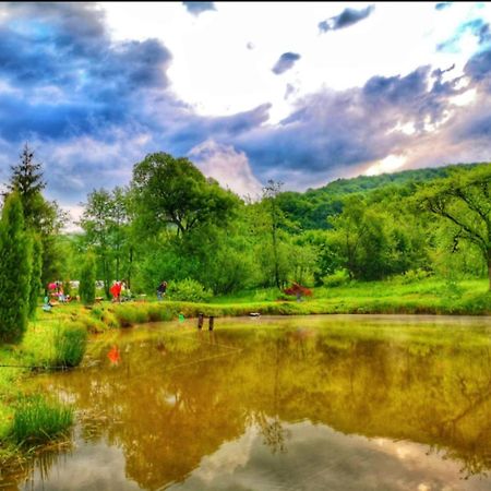 Pensiunea Cerbul - Valea Dobarlaului Esterno foto