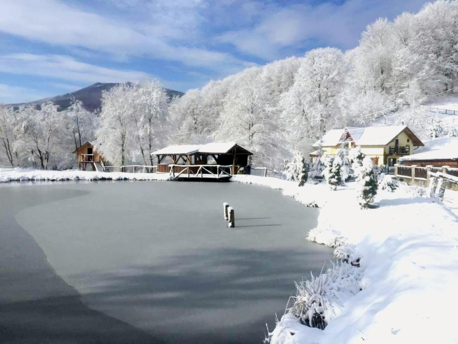 Pensiunea Cerbul - Valea Dobarlaului Esterno foto