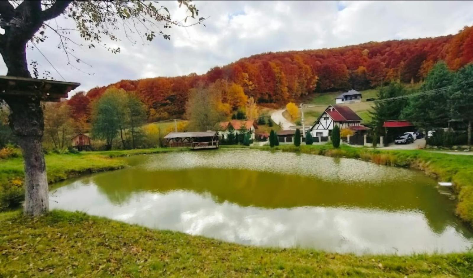 Pensiunea Cerbul - Valea Dobarlaului Esterno foto