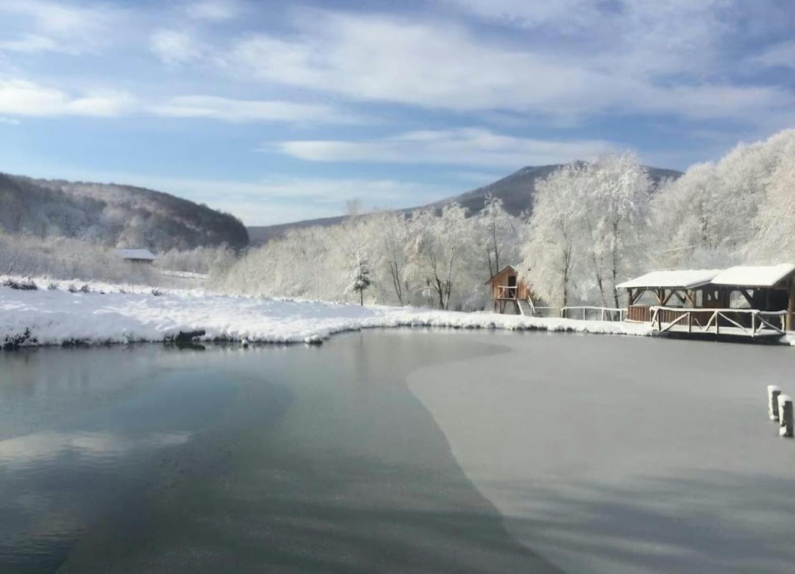 Pensiunea Cerbul - Valea Dobarlaului Esterno foto