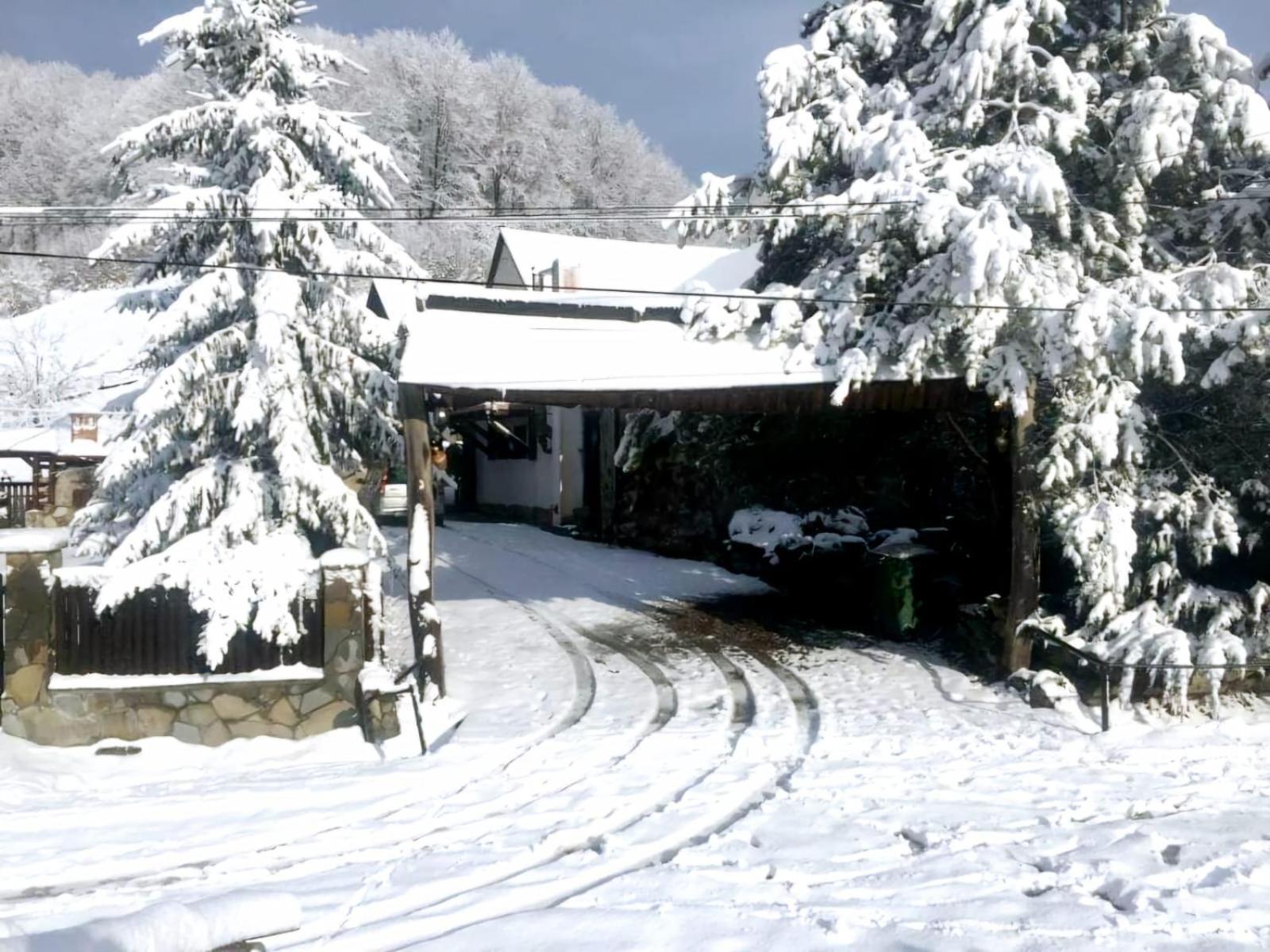Pensiunea Cerbul - Valea Dobarlaului Esterno foto